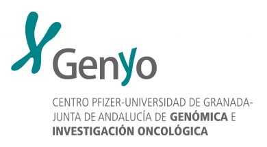 logo-genyo-esp-01