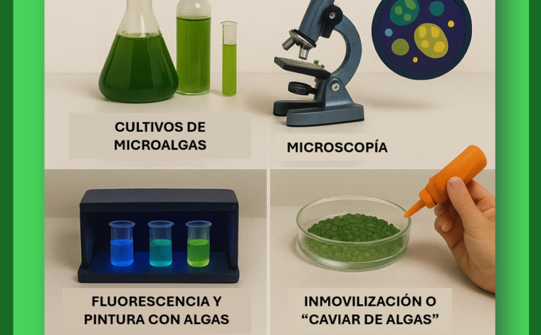 Imagen ilustrativa de la actividad