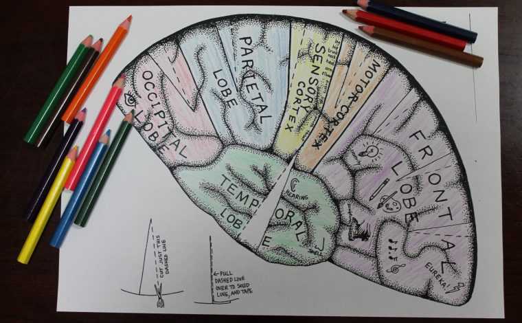 Imagen ilustrativa de la actividad