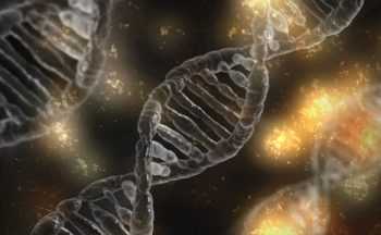 Fotografía ilustrativa de la actividad Mantenimiento (epi)genético: cómo se encienden, se apagan y se reparan nuestros genes.