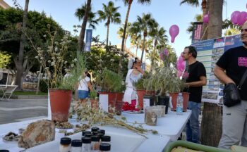 Fotografía ilustrativa de la actividad Náufragos en la roca. Los ecosistemas y plantas del yeso