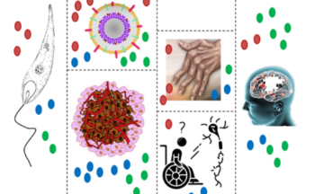 Fotografía ilustrativa de la actividad Deja tu huella en la Investigación