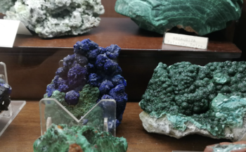 Fotografía ilustrativa de la actividad Taller de identificación de minerales y visita al Aula Museo de Geología