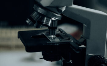 Fotografía ilustrativa de la actividad Ver lo pequeño a lo grande: el microscopio