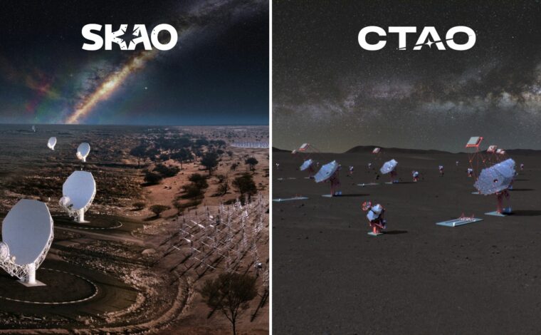 Imagen ilustrativa de la actividad