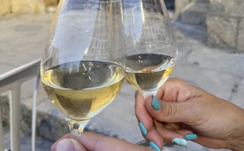 Fotografía ilustrativa de la actividad Ciencia y vinos de Jerez: enoturismo como factor de sostenibilidad en el marco de Jerez