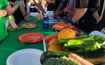 Fotografía ilustrativa de la actividad Extracción del ADN de una fruta