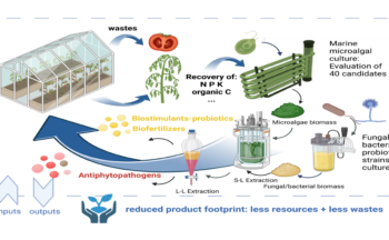 Fotografía ilustrativa de la actividad Desarrollo de una agricultura intensiva con un modelo de producción basado en soluciones biológicas, reducción de compuestos químicos y reciclado de residuos.
