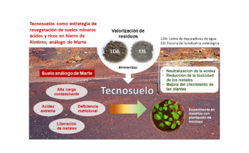 Fotografía ilustrativa de la actividad Los suelos mineros de Riotinto nos dan pistas para cultivar plantas en Marte
