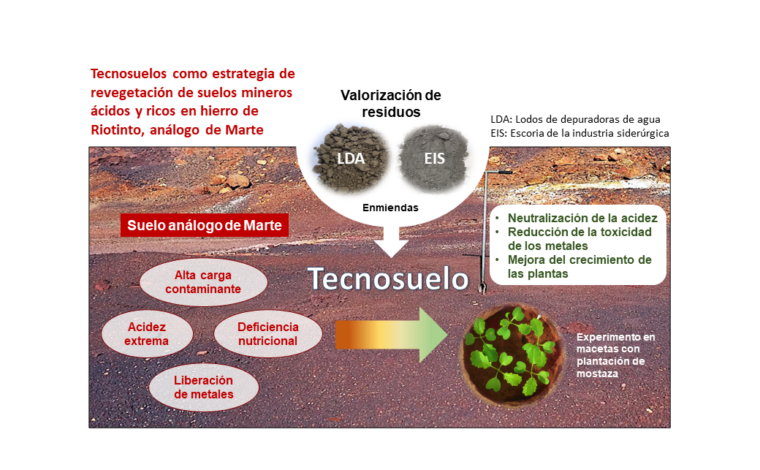 Imagen ilustrativa de la actividad