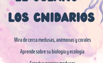 Fotografía ilustrativa de la actividad Explorando el Océano: Los Cnidarios