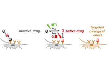 Fotografía ilustrativa de la actividad Fotofarmacología: Fármacos que se regulan con la luz