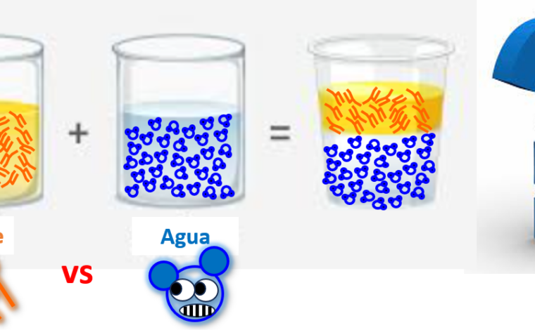 Imagen ilustrativa de la actividad