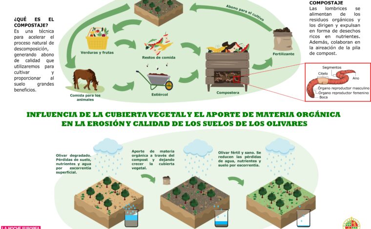 Imagen ilustrativa de la actividad