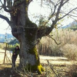 Fotografía de Rocío Soria Martínez