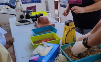 Fotografía ilustrativa de la actividad Taller participativo de Ciencia de los Materiales