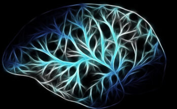 Fotografía ilustrativa de la actividad Sistema de medición de los mecanismos neuronales del cerebro