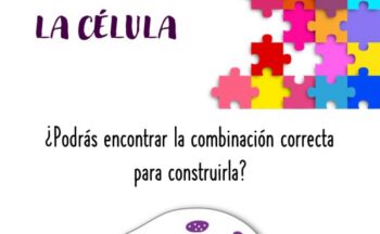 Fotografía ilustrativa de la actividad Juego: La célula: ¿Podrás encontrar la combinación correcta para construirla? – 2024