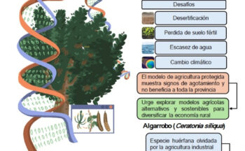 Fotografía ilustrativa de la actividad Recuperando el algarrobo