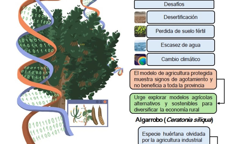 Imagen ilustrativa de la actividad