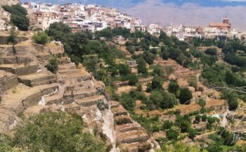 Fotografía ilustrativa de la actividad Piedra a piedra. Patrimonio cultural y futuro sostenible