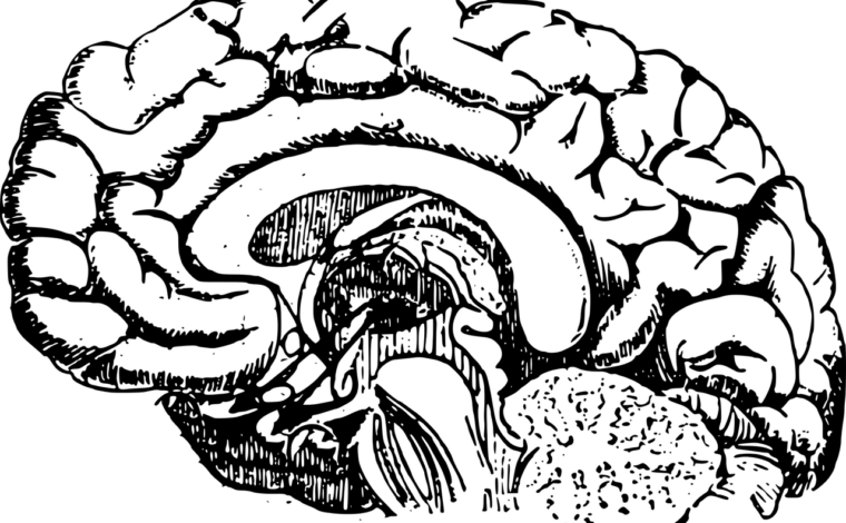 Imagen ilustrativa de la actividad