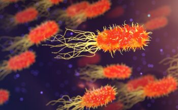 Fotografía ilustrativa de la actividad Los microorganismos en el medio ambiente y el cuerpo humano