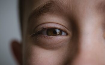 Fotografía ilustrativa de la actividad Ver para Vivir: La Visión en Nuestra Vida Diaria