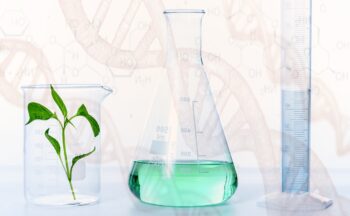 Fotografía ilustrativa de la actividad Química sostenible