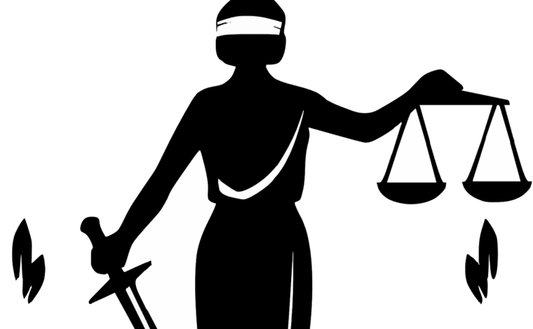 Imagen ilustrativa de la actividad