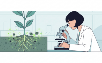 Fotografía ilustrativa de la actividad Descifrando los secretos de los microorganismos que conviven con las plantas