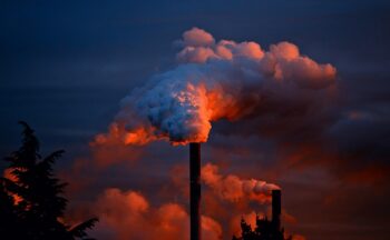 Fotografía ilustrativa de la actividad Microalgas contra la contaminación