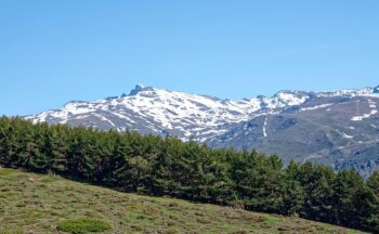 Fotografía ilustrativa de la actividad Gobernanza Sostenible del Turismo: Cómo la Inteligencia Artificial Cuida Nuestros Parques Naturales