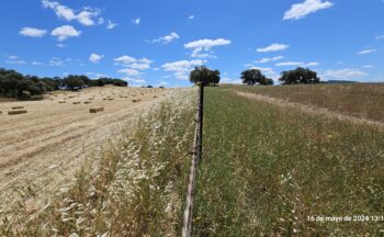 Fotografía ilustrativa de la actividad Más allá de lo orgánico: El desafío de la Agricultura Regenerativa