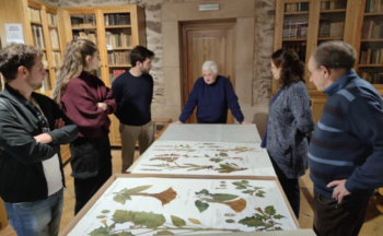 Fotografía ilustrativa de la actividad Exposición y visitas guiadas ‘El Herbario: herramienta científica y expresión artística’