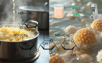 Fotografía ilustrativa de la actividad De la cocina a la ciencia con sabor a ECO: ¡Haz tus propios bioplásticos sostenibles!