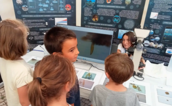 Fotografía ilustrativa de la actividad Un paseo microscópico por el fondo costero