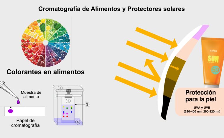 Imagen ilustrativa de la actividad