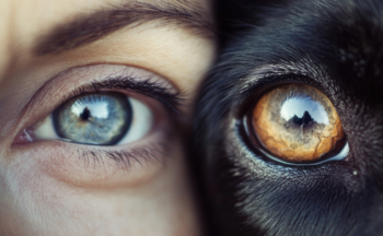 Fotografía ilustrativa de la actividad ¿Qué nos hace ser específicamente humanos? Motivación y emociones a través de modelos animales
