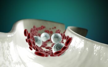 Fotografía ilustrativa de la actividad ¿Qué pasa con las grasas dentro de nuestro cuerpo?