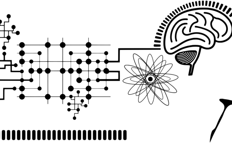Imagen ilustrativa de la actividad