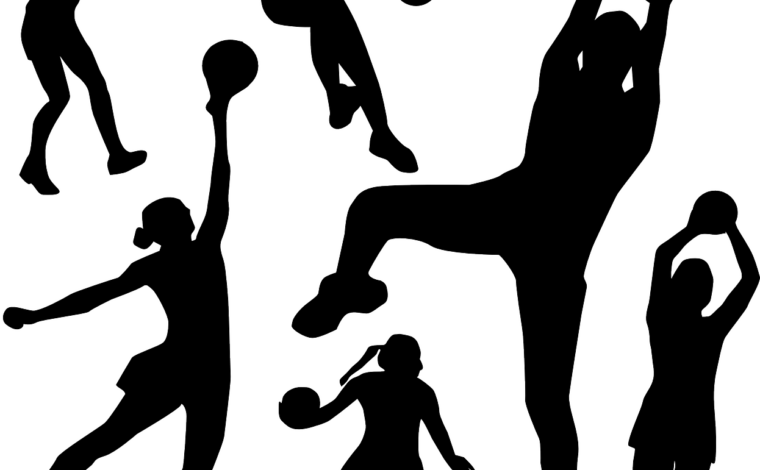 Imagen ilustrativa de la actividad