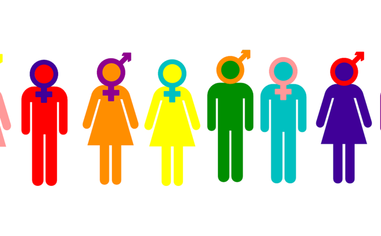 Imagen ilustrativa de la actividad