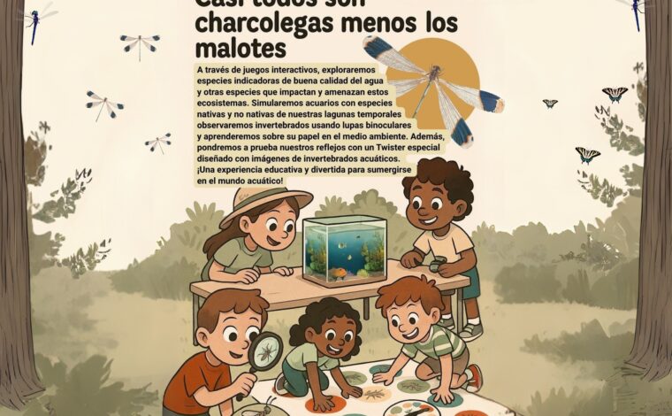 Imagen ilustrativa de la actividad