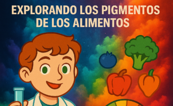 Fotografía ilustrativa de la actividad El Color de la Ciencia: Explorando los Pigmentos de los Alimentos