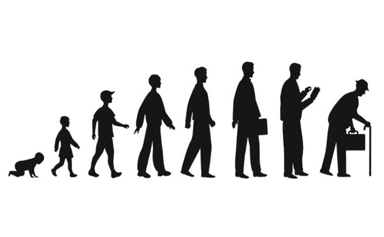 Imagen ilustrativa de la actividad