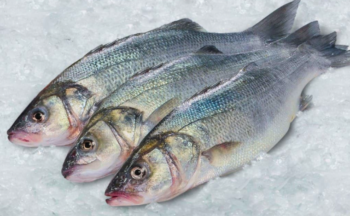 Fotografía ilustrativa de la actividad Desafío Sensorial: ¿Identificas los filetes de lubina enriquecidos en antioxidantes?
