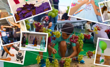 Fotografía ilustrativa de la actividad Pek-Enólogo: ¡mi primer vino!
