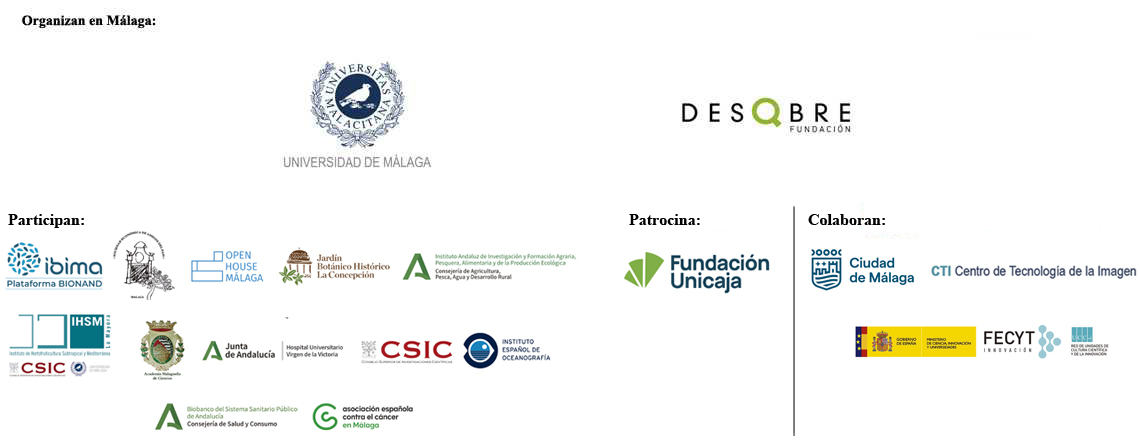 Logotipo tamaño grande