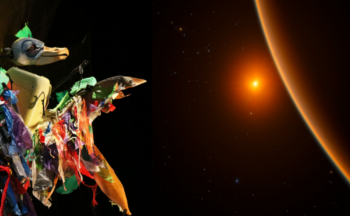 Fotografía ilustrativa de la actividad Clementina y los planetas